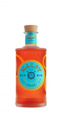 _gin-arancio-malfy_22470