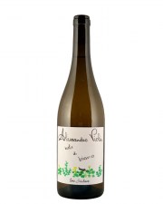 cantina-alessandro-viola-note-di-bianco_new