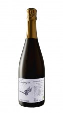champagne-extra-brut-premier-cru-le-mont-benoit-emmanuel-brochet_23818