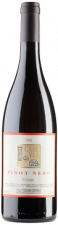 fontodi-pinot-nero-2009_t1105