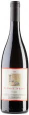 fontodi-pinot-nero-2009_t1105