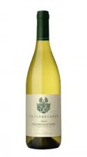 pinot-bianco-anna-tiefenbrunner-2019_41940