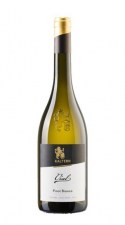 pinot-bianco-vial-cantina-di-caldaro-kaltern-2020_36261