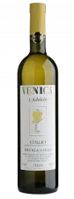 ribolla