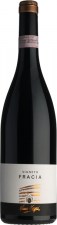 valtellina-vigneto-fracia-nino-negri-2003
